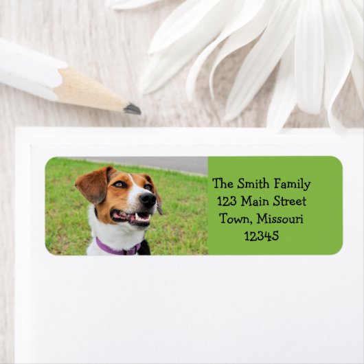 Beagle Etiket (Insitu)