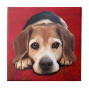 Beagle Fine Art Dog Art Painting Tegeltje