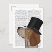 Beagle, Formele hond en Pet Briefkaart (Voorkant / Achterkant)