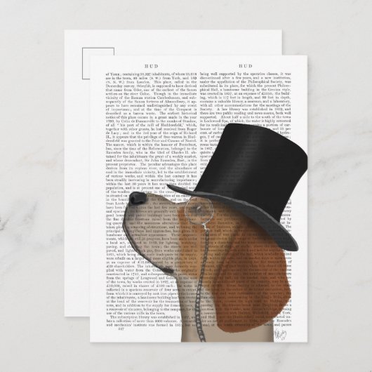 Beagle, Formele hond en Pet Briefkaart (Voorkant / Achterkant)