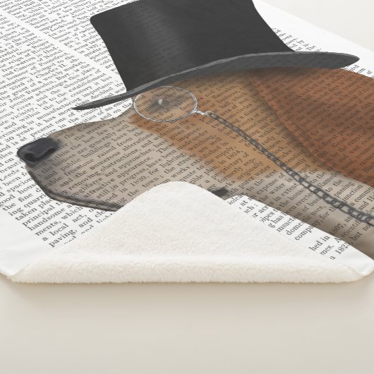 Beagle, Formele hond en Pet Sherpa Deken (3/4)