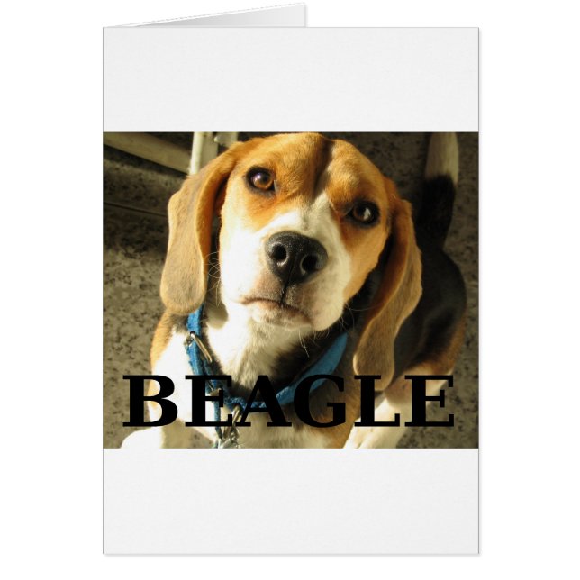 Beagle foto met naam (Voorkant)