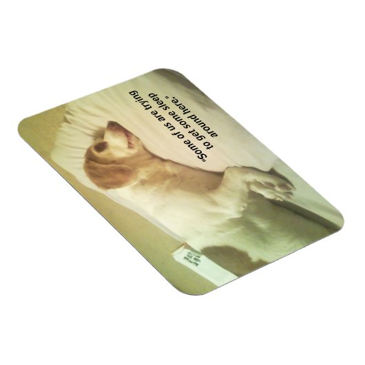 Beagle foto "Proberen om wat slaap te krijgen" 3x4 Magneet (Rechterzijde)