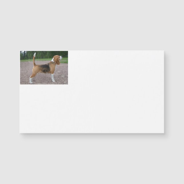 Beagle Full 2.png (Voorkant)