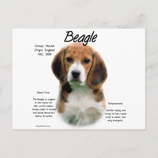 Beagle geschiedenis; Alles over Beagles Briefkaart (Voorkant)