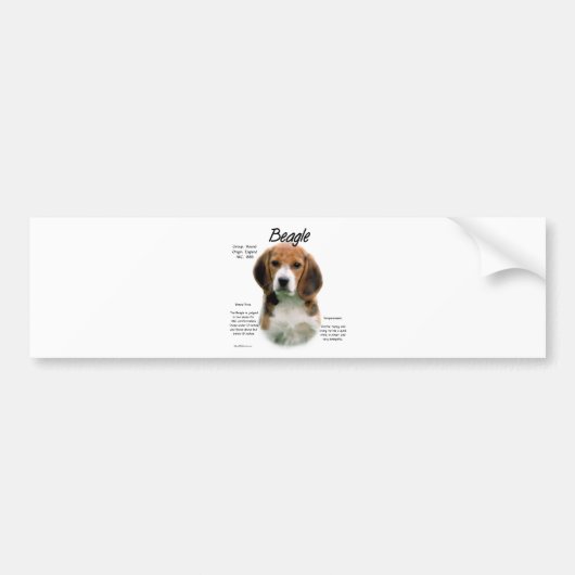 Beagle geschiedenis; Alles over Beagles Bumpersticker (Voorkant)