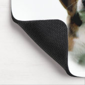 Beagle geschiedenis; Alles over Beagles Muismat (Hoek)