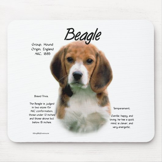 Beagle geschiedenis; Alles over Beagles Muismat (Voorkant)