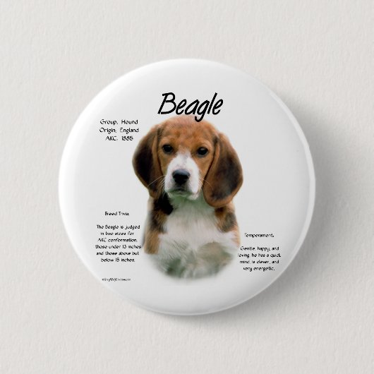 Beagle geschiedenis; Alles over Beagles Ronde Button 5,7 Cm (Voorkant)