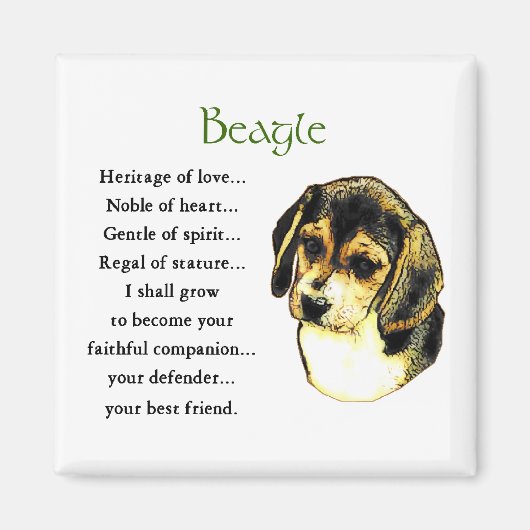Beagle Gifts Magneet (Voorkant)
