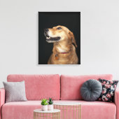 Beagle Golden Lab Mix kijkt naar de zijkant Canvas Afdruk (Insitu (Woonkamer))