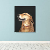 Beagle Golden Lab Mix kijkt naar de zijkant Canvas Afdruk (Insitu (Houten vloer))