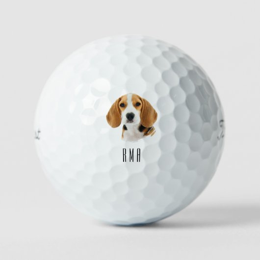 Beagle Golfballen (Voorkant)