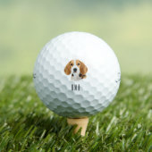 Beagle Golfballen (Insitu Shirt)