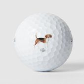 Beagle Golfballen (Voorkant)