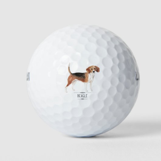 Beagle Golfballen (Voorkant)