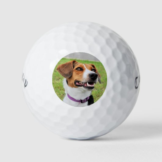 Beagle Golfballen (Voorkant)