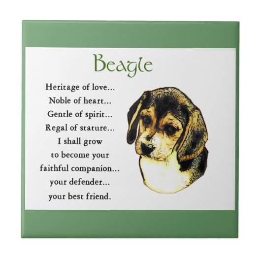 Beagle Heritage of Love Tegeltje (Voorkant)