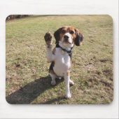 Beagle High Vijf Muismat (Voorkant)