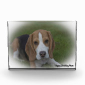 Beagle hond. fotoblokken (Voorkant)
