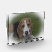 Beagle hond. fotoblokken (Links)
