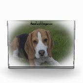 Beagle Hond Fotoblokken (Voorkant)