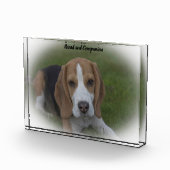 Beagle Hond Fotoblokken (Rechts)