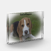 Beagle Hond Fotoblokken (Links)