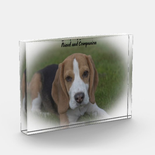 Beagle Hond Fotoblokken (Links)