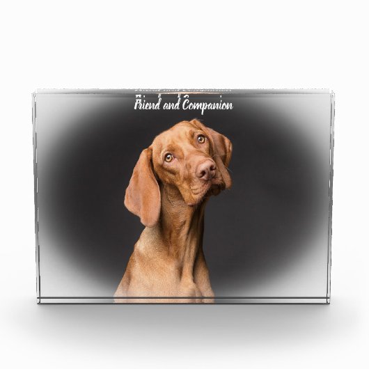 Beagle Hond Fotoblokken (Voorkant)