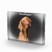 Beagle Hond Fotoblokken (Rechts)