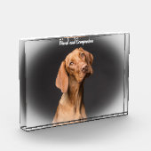 Beagle Hond Fotoblokken (Links)