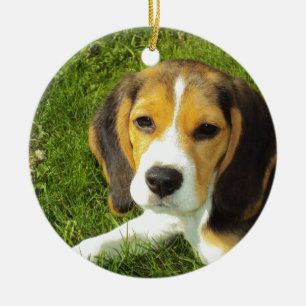 Beagle Hond Huisdieren Vrede Liefde Keramisch Ornament