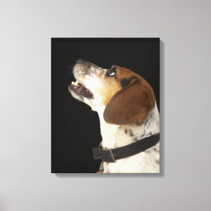 Beagle hond met zwart profiel canvas afdruk