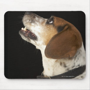 Beagle hond met zwart profiel muismat