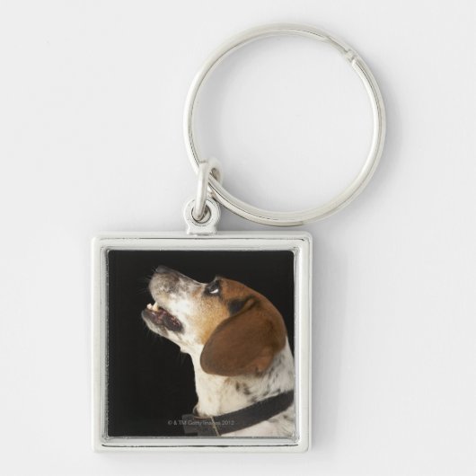 Beagle hond met zwart profiel sleutelhanger (Voorkant)