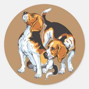 beagle hond ronde sticker