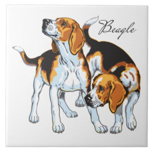 beagle hond tegeltje