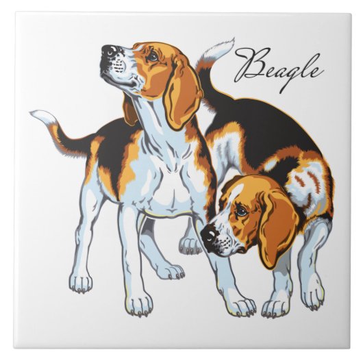 beagle hond tegeltje (Voorkant)