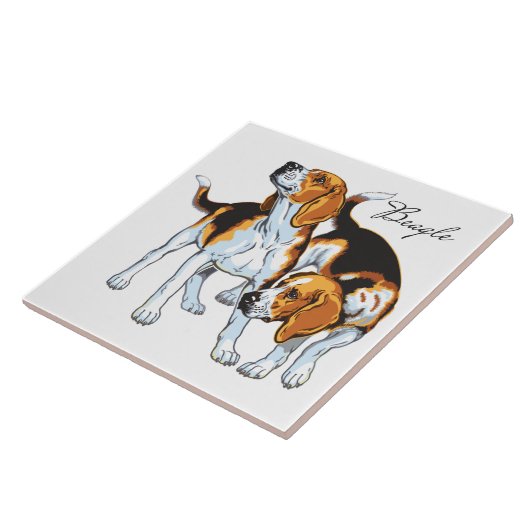 beagle hond tegeltje (Zijkant)