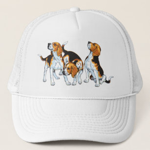 beagle hond trucker pet
