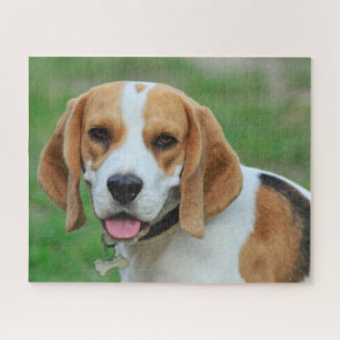 Beagle Hound Dog Legpuzzel