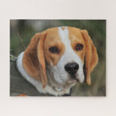 Beagle Hound Dog Legpuzzel (Horizontaal)