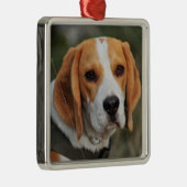 Beagle Hound Dog Metalen Ornament (Rechts)