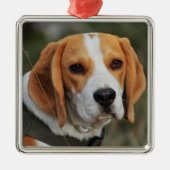Beagle Hound Dog Metalen Ornament (Voorkant)