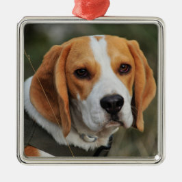Beagle Hound Dog Metalen Ornament