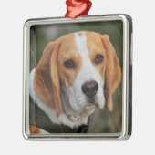 Beagle Hound Dog Metalen Ornament (Links)