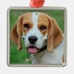 Beagle Hound Dog Metalen Ornament