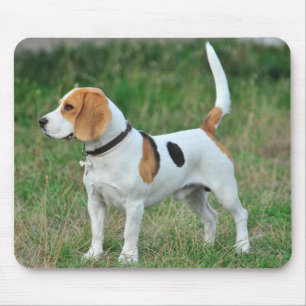 Beagle Hound Dog Muismat