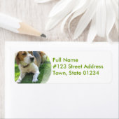 Beagle Hound Dog Retouradres Label (Insitu)
